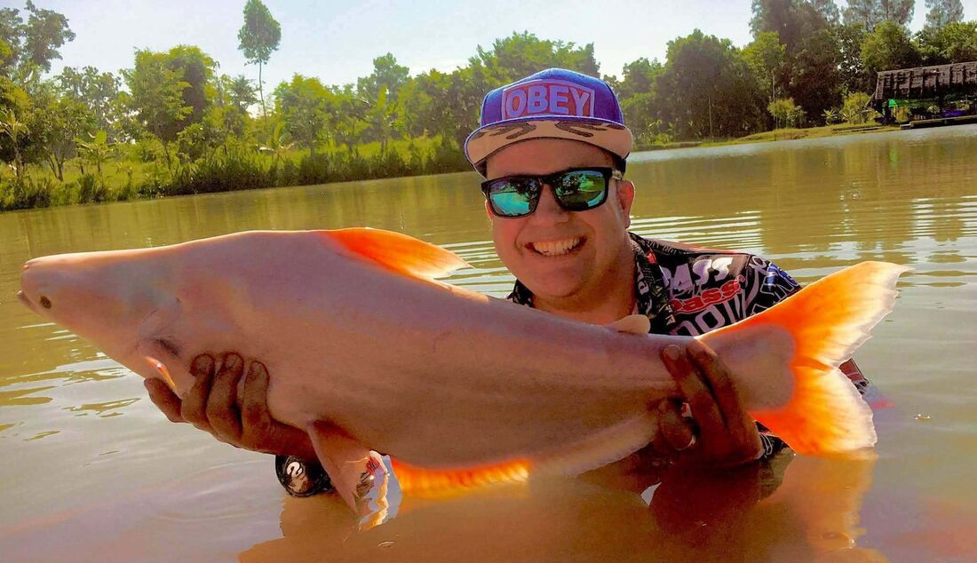 Angler with a large catch at the lake