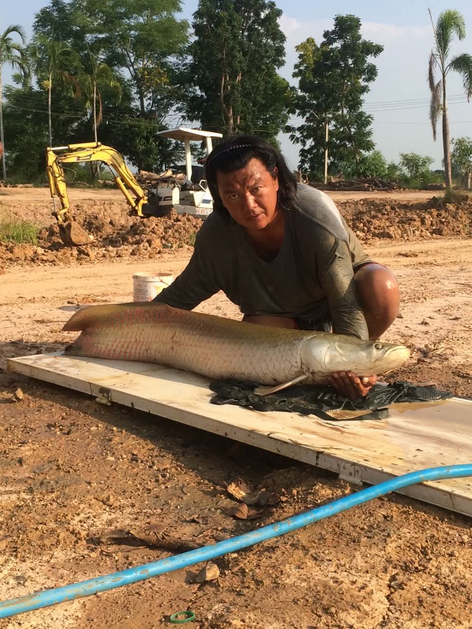 Win with an arapaima, the excavator digging the new pond in the background