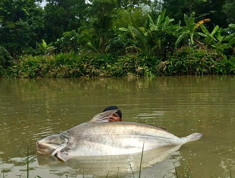 Lamb, park staff at Buriram Monster Fishing Park