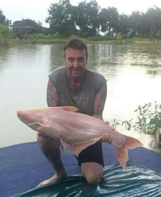 Albino striped catfish caught at Buriram Monster Fishing Park