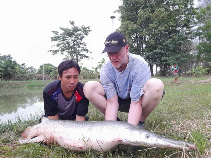 Alligator gar caught at Buriram Monster Fishing Park