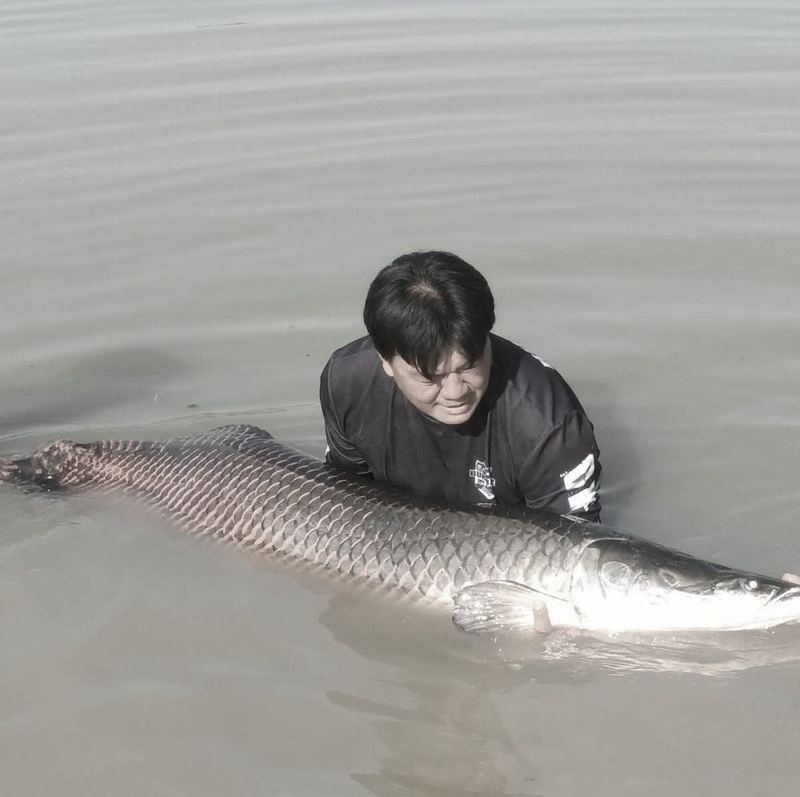 Arapaima caught at Buriram Monster Fishing Park