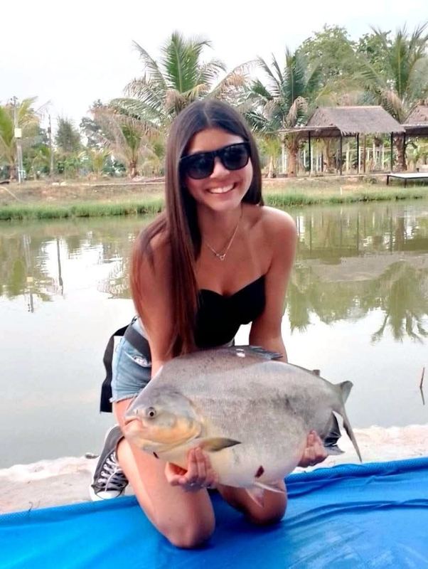 Pacu caught at Buriram Monster Fishing Park