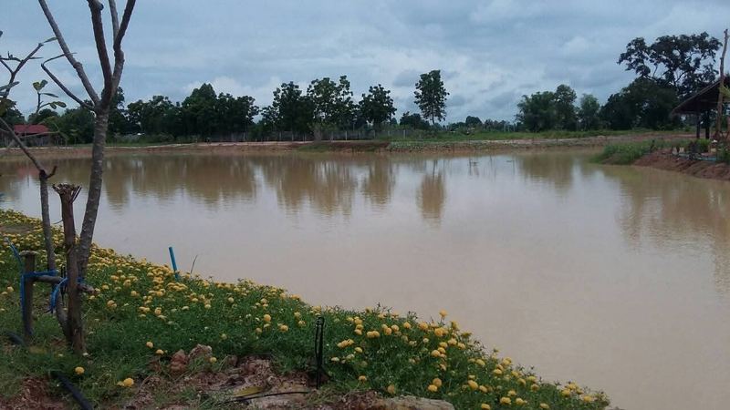 Excavator shaping the banks