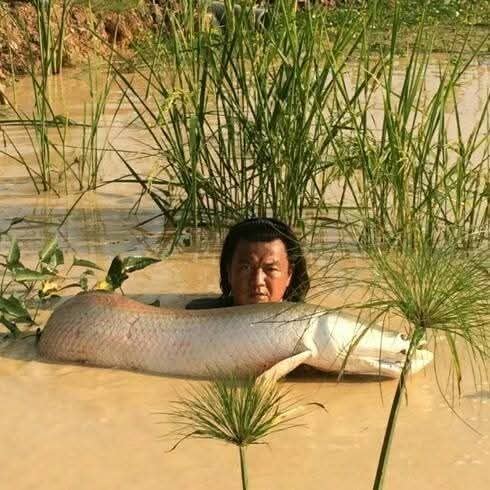 Moving live fish to the new lake
