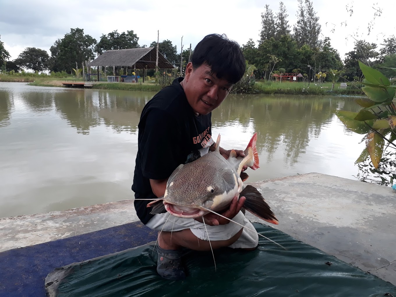 Win, owner of Buriram Monster Fishing Park, holding a redtail catfish by the lake